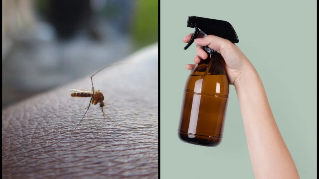 crea facil y economico el mejor repelente para mosquitos moscas y cucarachas