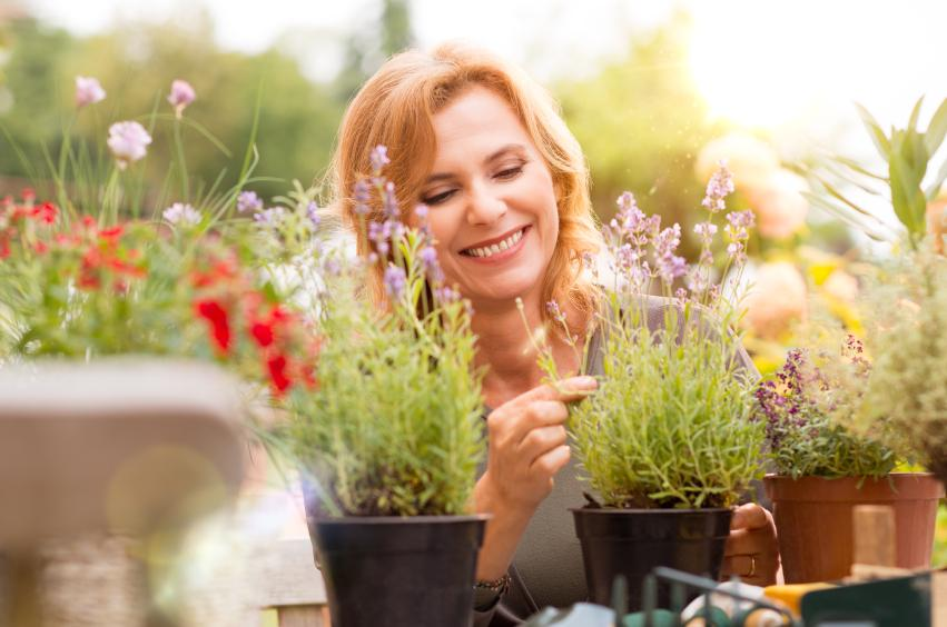 No lo tires de nuevo si quieres hacer que los vecinos mueran de envidia: flores y plantas exuberantes