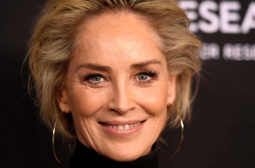  Sharon Stone, de 66 Años, Llama la Atención Con Un Mini Vestido Atrevido y Revelador: “¡Sin Vergüenza, Sin Conciencia!”