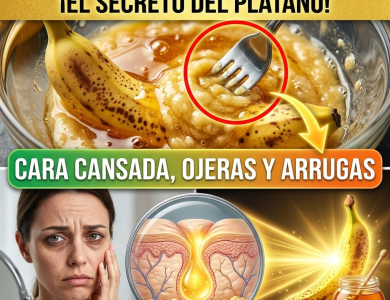 ¡Estás Tirando a la Basura el “Bótox” Más Barato del Mundo! El Secreto del Plátano para Planchar tu Rostro ¡Estás Tirando a la Basura el “Bótox” Más Barato del Mundo! El Secreto del Plátano para Planchar tu Rostro