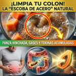Tu Panza No Es Grasa, Es Veneno: La “Escoba de Acero” Natural para Limpiar tu Colon y Desinflamar tu Vientre