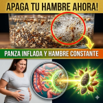 ¡Apaga tu Hambre y Desinflama tu Panza! El “Balón Gástrico” Natural de 3 Semillas Que Tienes en tu Cocina
