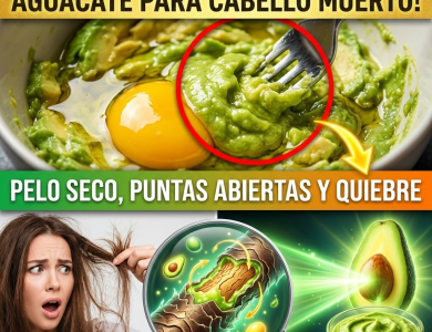 ¡TENEMOS UN HOMICIDIO! ¿Quién Mató a tu Cabello? El “Chaleco Antibalas” de Aguacate para Resucitar Puntas Muertas ¡TENEMOS UN HOMICIDIO! ¿Quién Mató a tu Cabello? El “Chaleco Antibalas” de Aguacate para Resucitar Puntas Muertas