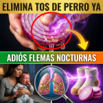 ¡¿Tu Bebé Tiene “Tos de Perro”?! Elimina las Flemas Nocturnas con el Truco de la Cebolla Morada ¡¿Tu Bebé Tiene “Tos de Perro”?! Elimina las Flemas Nocturnas con el Truco de la Cebolla Morada