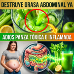 ¡Tu Panza es un Desastre Tóxico! El Jugo Verde del “Sargento Apio” para Destruir la Grasa Abdominal ¡Tu Panza es un Desastre Tóxico! El Jugo Verde del “Sargento Apio” para Destruir la Grasa Abdominal