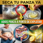 ¡Esa Panza Va a Explotar! El “Gel Mágico” Casero de Chía y Limón para Secar tu Abdomen Rápidamente