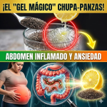 ¡El “Gel Mágico” Chupa-Panzas! Cómo Desinflamar tu Abdomen y Vencer la Ansiedad con 2 Ingredientes de tu Cocina