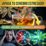 ¡Apaga tu Cerebro Estresado! El Sedante Natural de “La Dormilona” para Dormir 8 Horas Seguidas ¡Apaga tu Cerebro Estresado! El Sedante Natural de “La Dormilona” para Dormir 8 Horas Seguidas