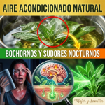 ¿Te Despiertas Empapada en Sudor? El “Aire Acondicionado Natural” para Apagar los Bochornos