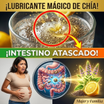 ¿Sientes el Intestino Atascado? El “Lubricante Mágico” de Chía y Limón para Desinflamar tu Panza al Instante