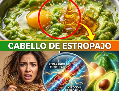 ¿Tu Cabello Parece Estropajo? La “Bomba” de Aguacate y Huevo que Revive el Pelo de Paja al Instante