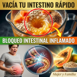 ¡El Secreto Revelado! La “Proporción de Oro” Exacta de Papaya y Linaza para Vaciar tu Intestino en Minutos (Sin Inflamarte Más)