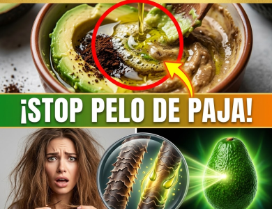 ¡El Secreto Revelado! La “Proporción Exacta” de Aguacate y Aceite para Salvar tu Pelo Dañado en 20 Minutos