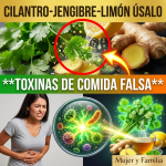 El Secreto para Desintoxicar tu Cuerpo de la “Comida Falsa”: La Proporción Exacta y los Minutos Precisos (¡Peligro si lo ignoras!)