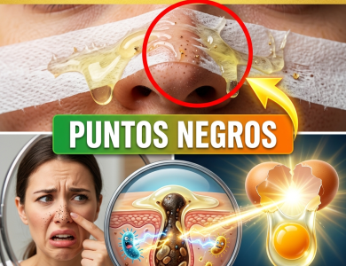 El Secreto del “Ingeniero Huevo”: La Proporción Exacta y los 15 Minutos Precisos para Arrancar Puntos Negros (¡Peligro si lo haces mal!) El Secreto del “Ingeniero Huevo”: La Proporción Exacta y los 15 Minutos Precisos para Arrancar Puntos Negros (¡Peligro si lo haces mal!)