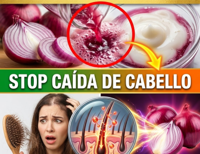 ¿Tu cepillo parece un monstruo peludo? Frenemos la Caída con el Esteroide Natural del Cabello ¿Tu cepillo parece un monstruo peludo? Frenemos la Caída con el Esteroide Natural del Cabello