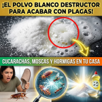 ¡Tu Casa es un Nido de Plagas! El “Polvo Blanco Destructor” para Acabar con Cucarachas, Moscas y Hormigas en Horas ¡Tu Casa es un Nido de Plagas! El “Polvo Blanco Destructor” para Acabar con Cucarachas, Moscas y Hormigas en Horas