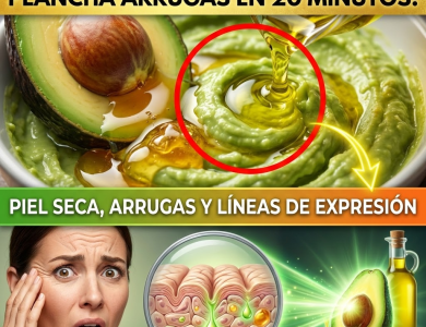 ¡Tira Esas Cremas Caras a la Basura! El “Bótox Verde” de Aguacate para Planchar Arrugas en 20 Minutos ¡Tira Esas Cremas Caras a la Basura! El “Bótox Verde” de Aguacate para Planchar Arrugas en 20 Minutos
