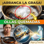 ¡No Tires tus Ollas Quemadas! El Truco Casero Mágico para Arrancar la Grasa y el Cochambre Sin Frotar