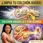 ¿Tu Colchón está Amarillo y Lleno de Ácaros? Límpialo en Seco con este Truco de Hotel