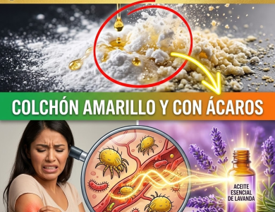 ¿Tu Colchón está Amarillo y Lleno de Ácaros? Límpialo en Seco con este Truco de Hotel